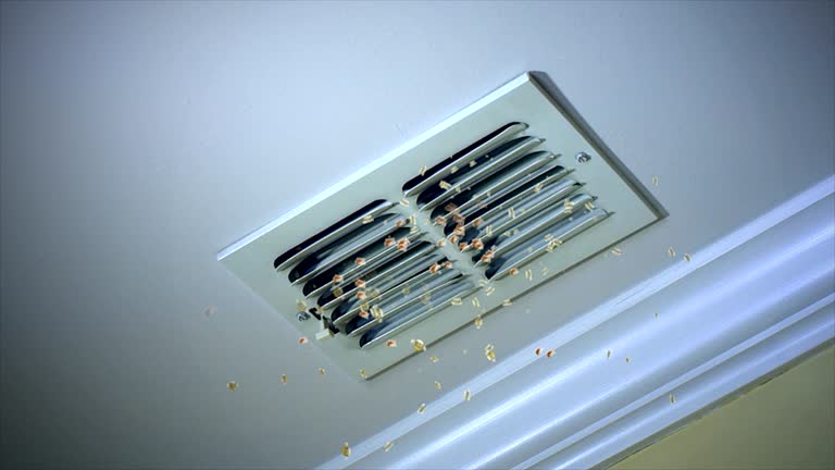 Best Home Air Vent Cleaning  in Norman Park, GA