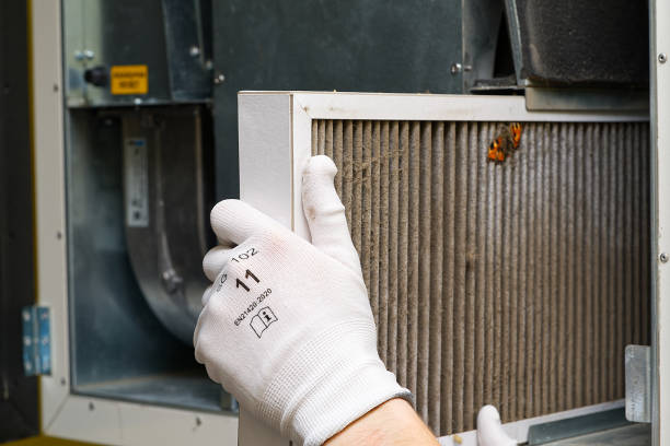 Best General Air Duct Cleaning  in Norman Park, GA