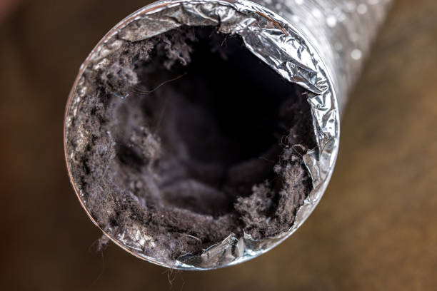 Best Ventilation Cleaning Services  in Norman Park, GA