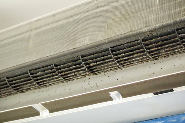 Home Air Vent Cleaning in Norman Park, GA